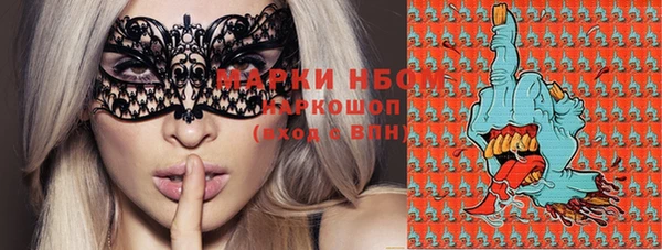 гашик Белоозёрский