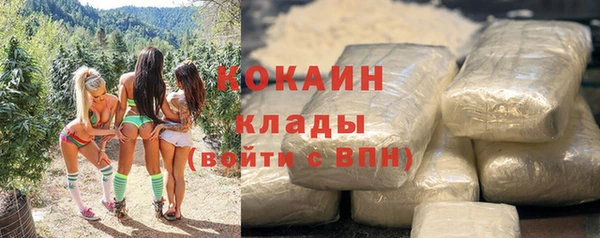 гашик Белоозёрский