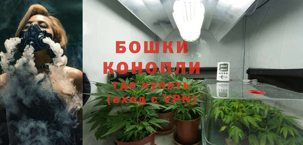 сатива Балабаново